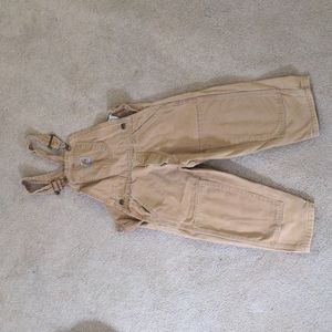 Carhartt overall
